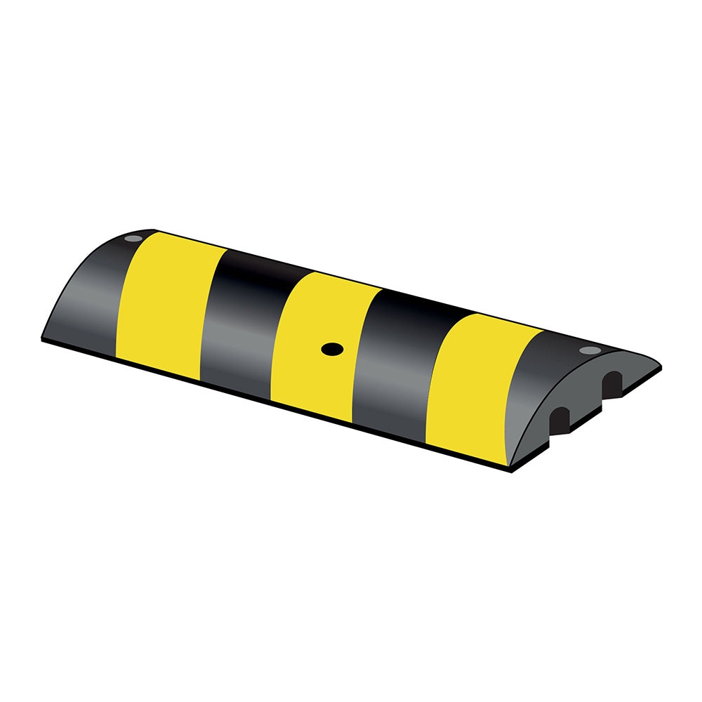 Easy Rider® 55 Speed Reduction Ramp - IndustraCare